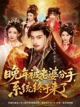 晚年被老婆分手，系统终于来了