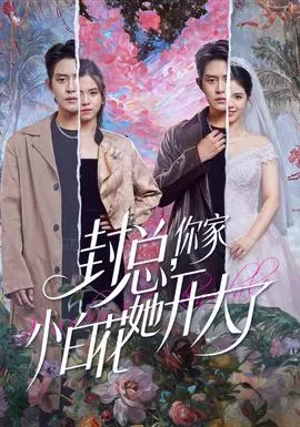 封总，你家小白花她开大了