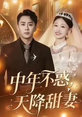 中年不惑，天降甜妻