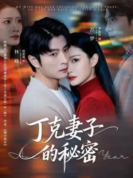 丁克妻子的秘密