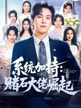 统加持：赌石大佬崛起